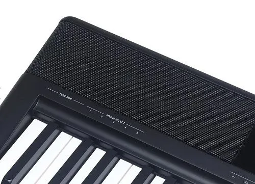 Medeli SP-C120-WOS Цифровое пианино, черное, без стойки.